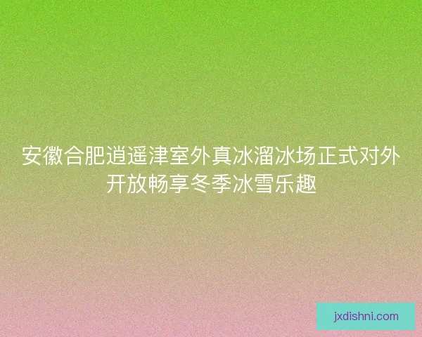 安徽合肥逍遥津室外真冰溜冰场正式对外开放畅享冬季冰雪乐趣